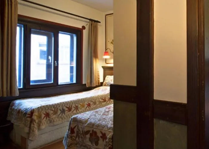 酒店 佐伊女皇酒店 4*