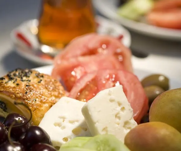 酒店 佐伊女皇酒店 伊斯坦布尔