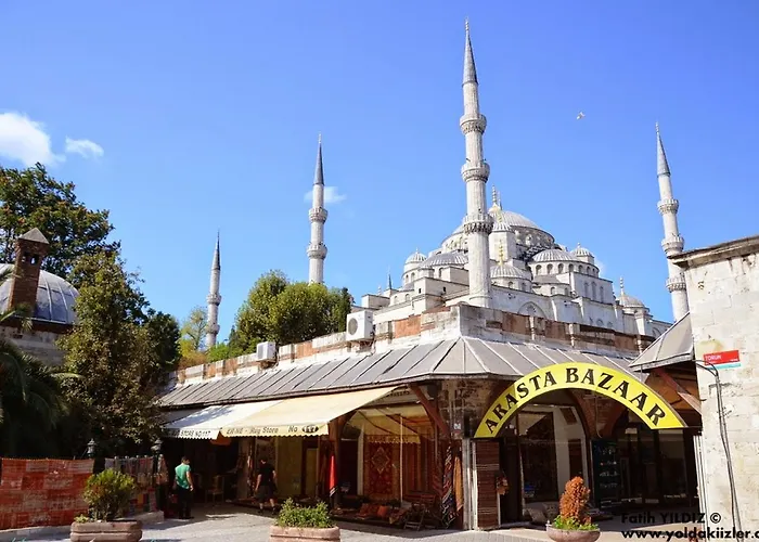 酒店 佐伊女皇酒店 4*