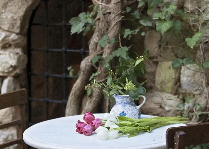 酒店 佐伊女皇酒店