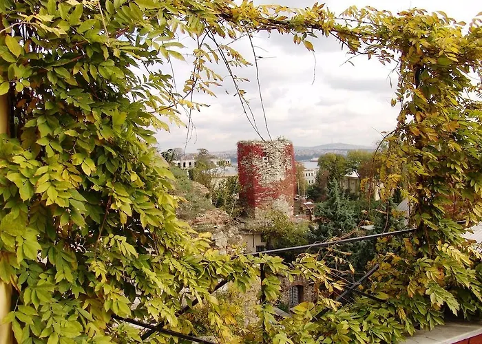 佐伊女皇酒店 酒店